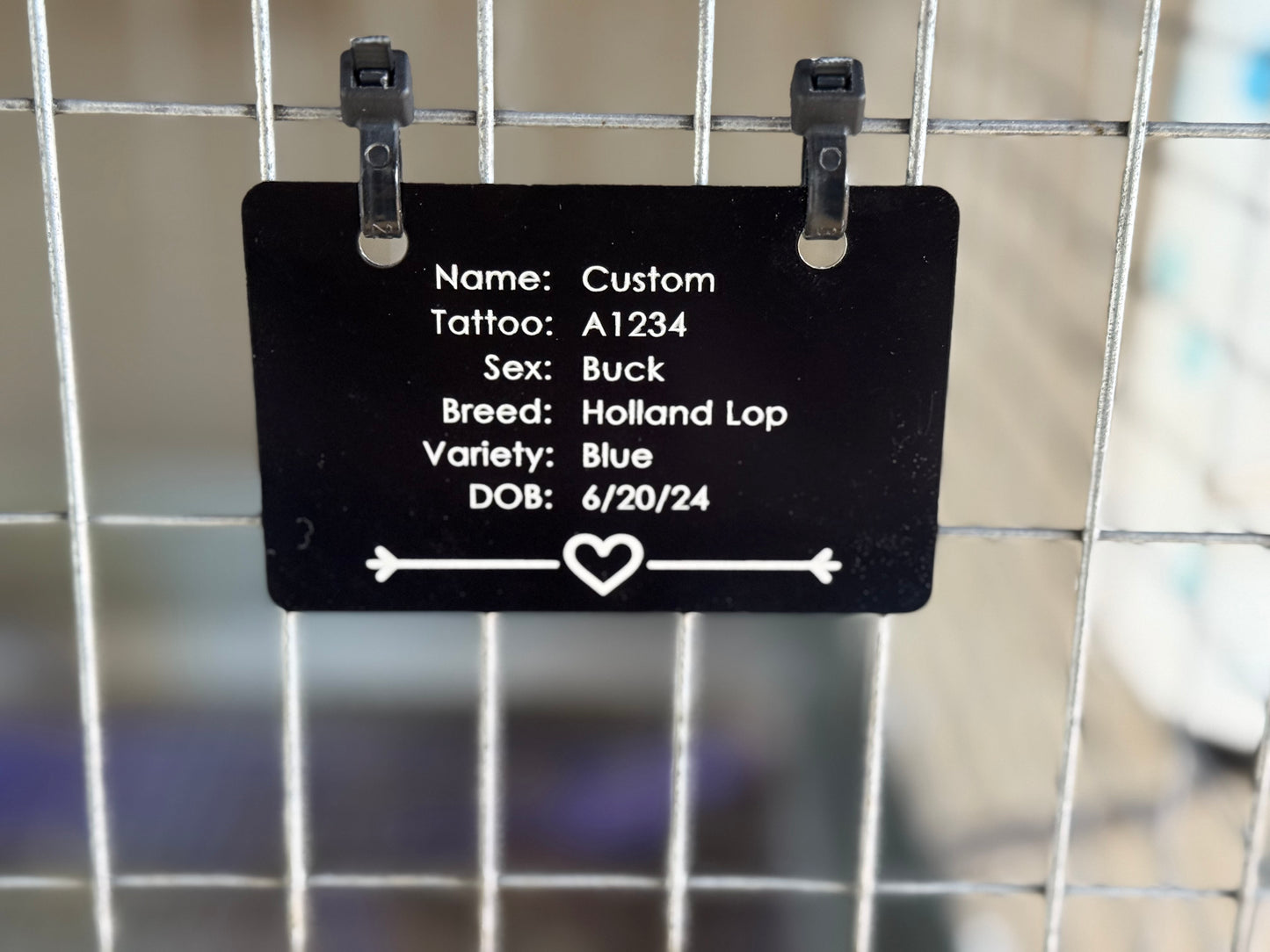 Metal Cage tag or nameplate for fairs or shows for any small animal like rabbit cavies dog chickens ducks
