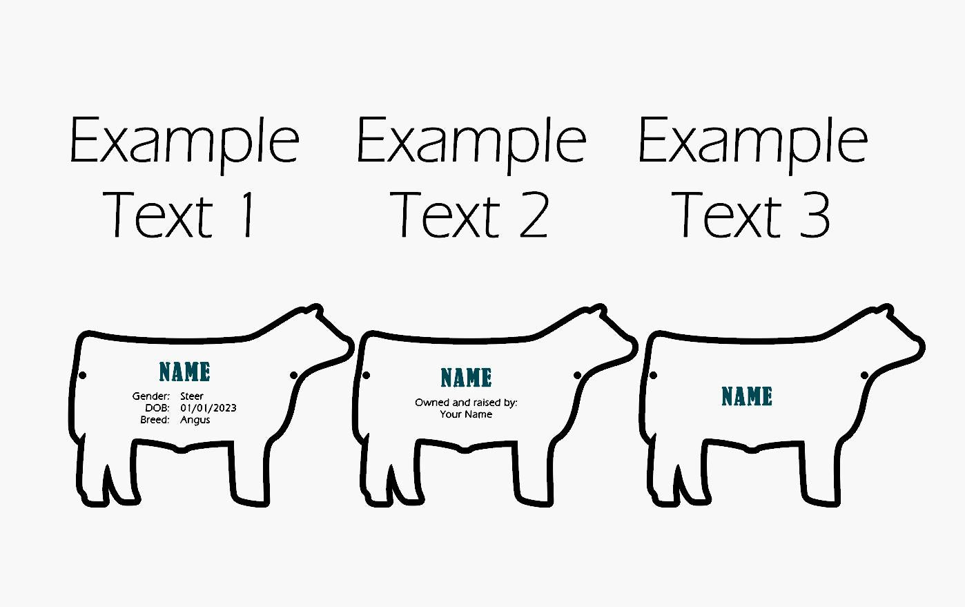 Customizable Market Steer Stall tag or name plate label for fairs and livestock shows