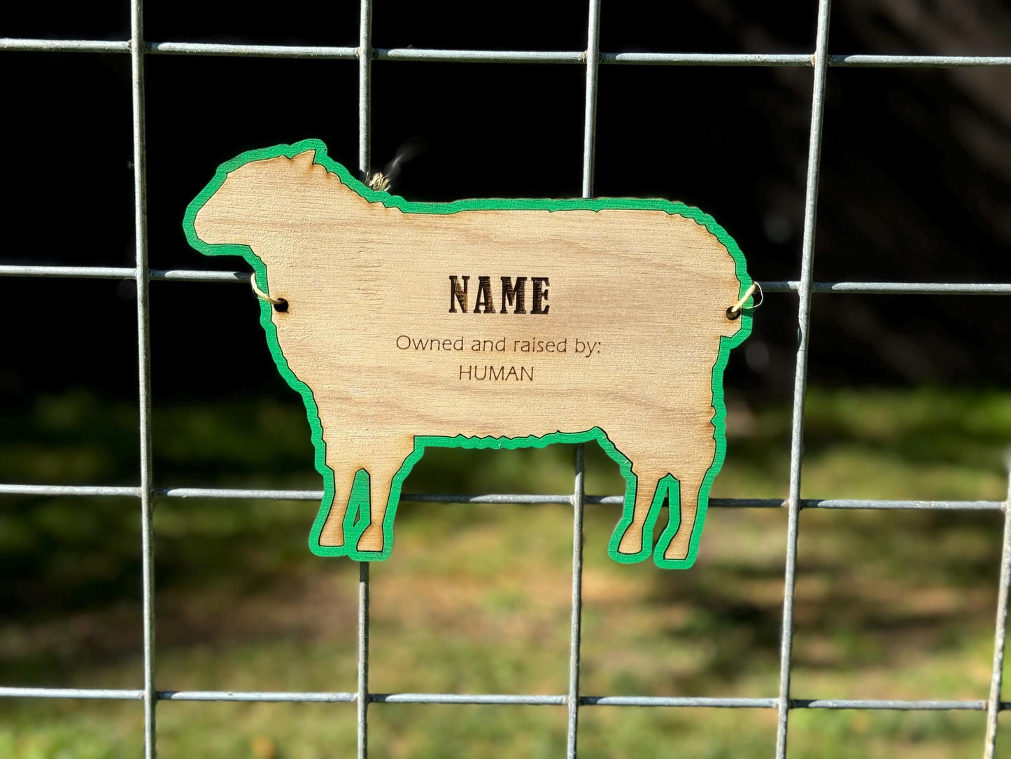 Lamb Stall tag or name plate label for fairs and livestock shows