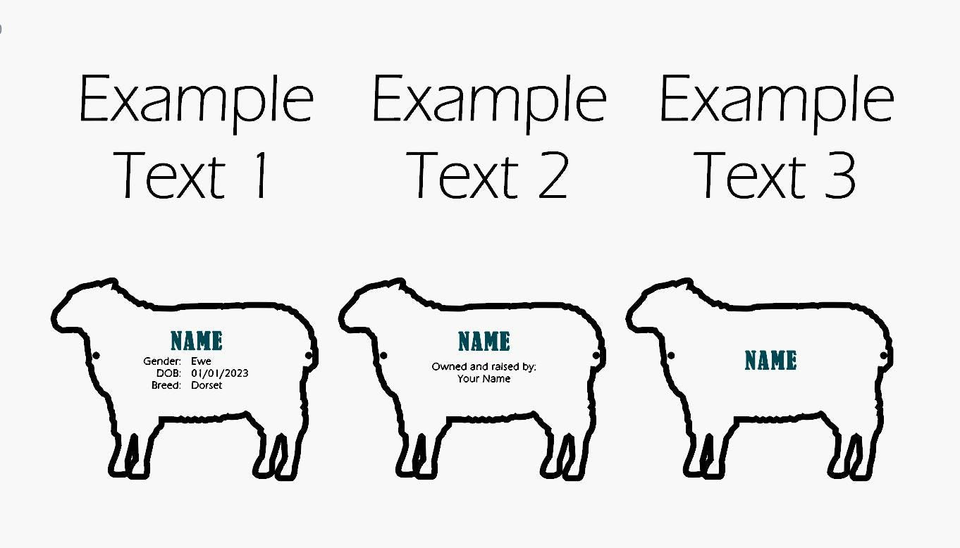 Lamb Stall tag or name plate label for fairs and livestock shows