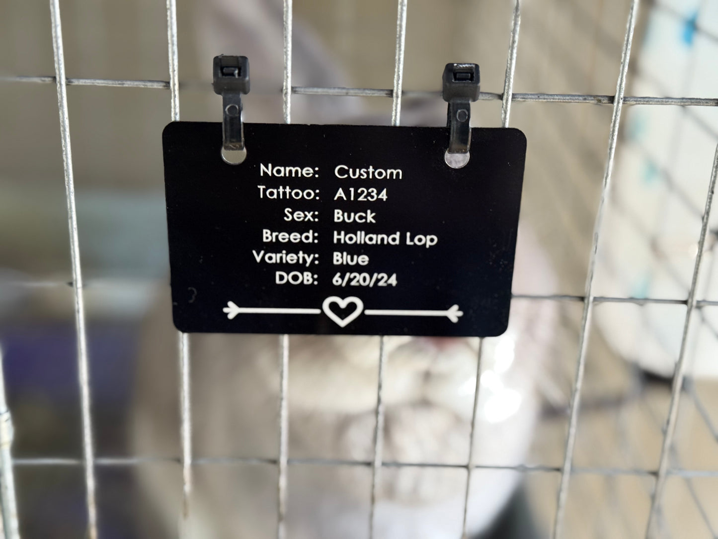 Metal Cage tag or nameplate for fairs or shows for any small animal like rabbit cavies dog chickens ducks