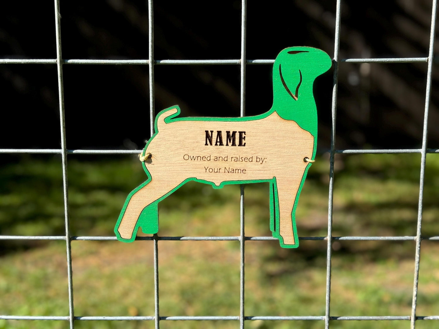 Customizable Boer Goat Stall tag or name plate label for market fairs and livestock shows